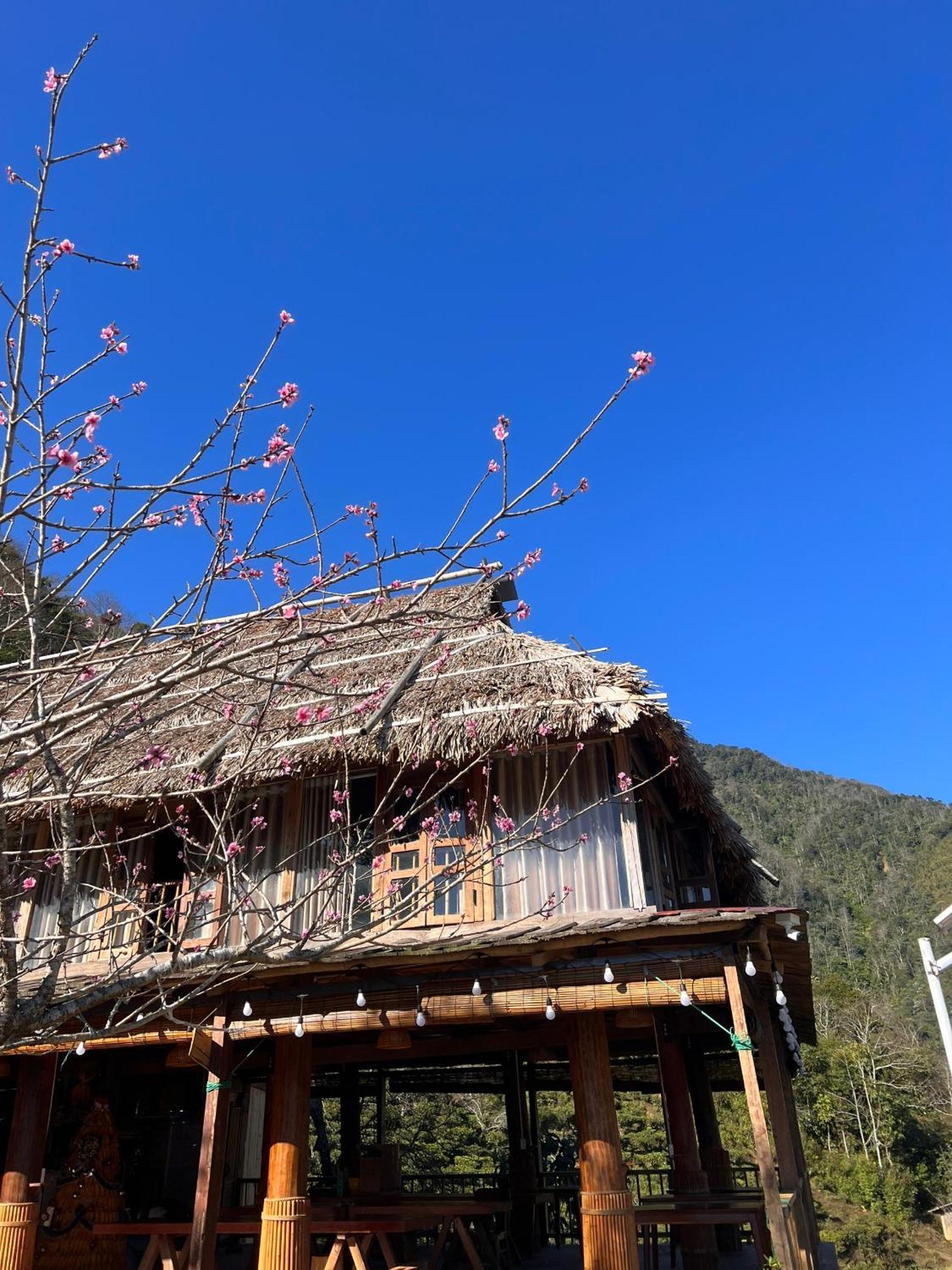 Ta Xua Ecolodge Bac Yen Exterior foto
